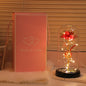 520 Gift Eternal Gold Foil Flower Ambience Light